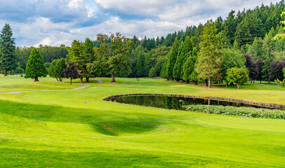 Scenic landscape of woodland. Public park. Nature of forest. Green forest wood landscape in summer. Path way. Nature of mixed forest. Landscape of lake at park. Summer park zone nature