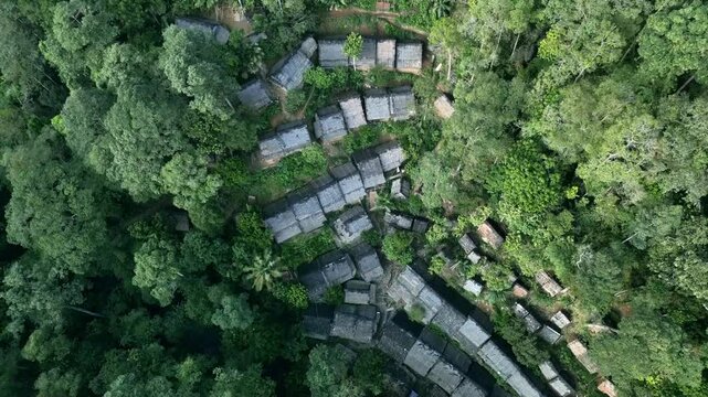 An aerial view of the traditional village of the Baduy Tribe, showing thatched-roof houses that blend in with the surrounding nature, reflecting a simple life far from modernization.