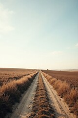 Naklejka premium A Serene Dirt Road Through a Golden Field Extending to a Distant Horizon Under a Pale Sky