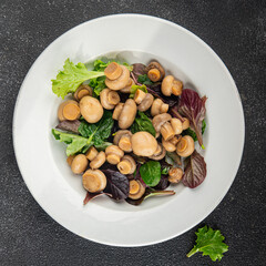 Champignon salad green lettuce canned mushrooms fresh delicious gourmet food background on the table rustic food top view copy space keto and paleo diet vegetarian and vegan food