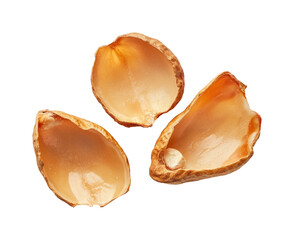 Nature's half-opened peanut shells isolated on transparent background png
