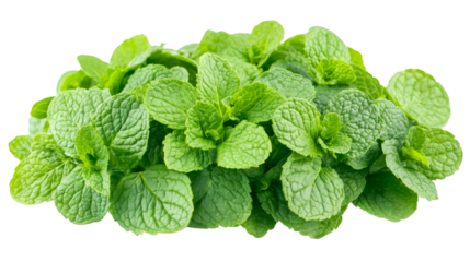 Bunch of fresh mint leaves isolated on transparent background, creating a vibrant green cloud, perfect for food and beverage projects