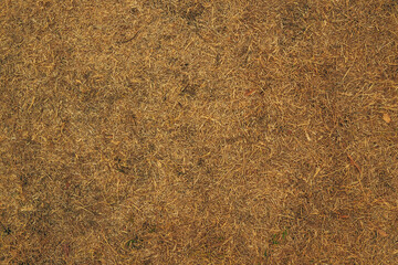 Top view of dry grass lawn