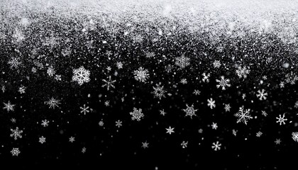 snowflakes falling isolated transparent on black background
