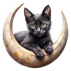 Celestial Cat: A captivating black kitten rests serenely within a crescent moon, its mesmerizing eyes reflecting a world of wonder. An enchanting fusion of fantasy and feline charm.