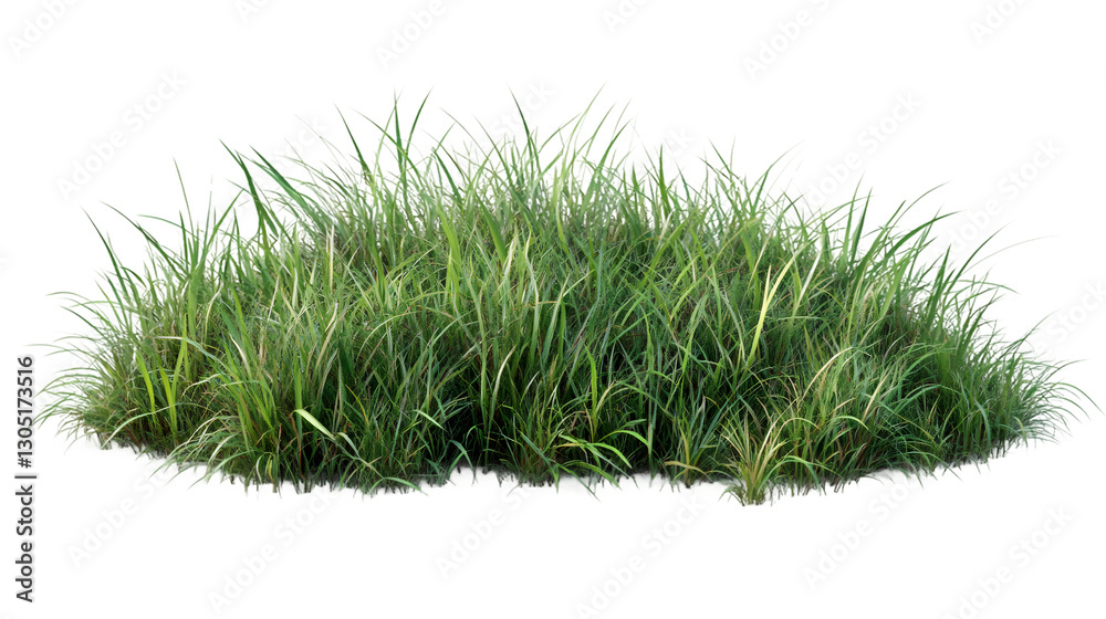 Poster photorealistic grass tuft against transparent backdrop, enhancing architectural rendering and creati