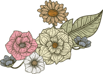 vector illustration of flowers