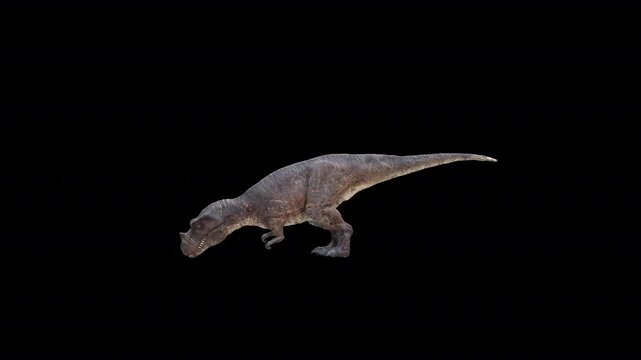 Ceratosaurus snif loop 3D Video Animation