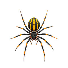 Obraz premium 3D icon of Orb-weaver spider isolated on transparency background