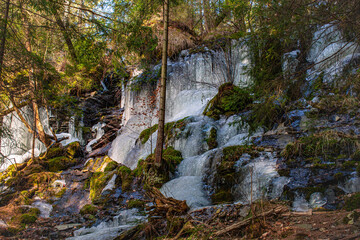 Frozen Waterfall Surrounded by Mossy Rocks and Lush Forest in Sunlit Landscape