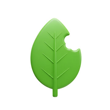 A Single Leaf with a Small Bite Taken Out