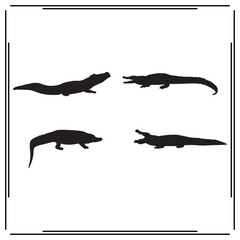 Crocodile silhouette, Crocodile illustration , Crocodile clipart, Crocodile vector , Crocodile icon , black Crocodile ,Crocodile illustration on white background, 					