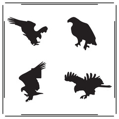 Eagle silhouette, Eagle illustration ,Eagle clipart, Eagle vector , Eagle icon , black Eagle, Eagle illustration on white background, Eagle vector illustration ,Eagle silhouette illustration,						