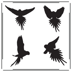 Parrot silhouette, Parrot illustration , Parrot clipart, Parrot vector , Parrot icon , black Parrot, Parrot illustration on white background, Parrot vector illustration , 				