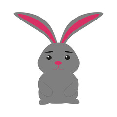 Gray bunny on a white background