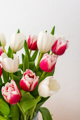 Obraz premium Beautiful spring bouquet of pink and white tulips close up, birthday or March 8th or mother's day concept