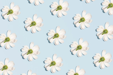 Romantic pastel blue spring floral background