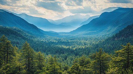 Obraz premium Vast mountain range covered in lush green forest under a partly cloudy sky. The scene is serene and peaceful, with layers of mountains fading into the distance.