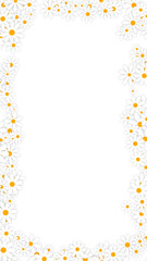 spring daisy flowers border frame on transparent background , png nature springtime cosmetics and beauty vertical social media design element	
