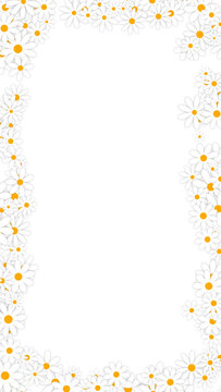 spring daisy flowers border frame on transparent background , png nature springtime cosmetics and beauty vertical social media design element	