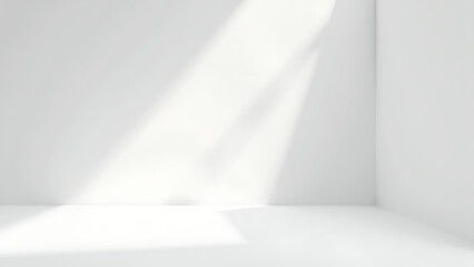 Fototapeta premium fulham cast creates shadow smooth white photographic
