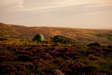 Obraz premium Tent in Northumberland landscape whilst wild camping
