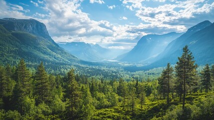Obraz premium Majestic mountain range viewed from a lush green forest. Sunlight streams through the valley, creating a serene and peaceful atmosphere.