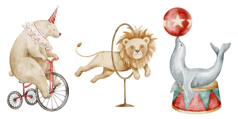 Watercolor illustration of Circus animals. Drawing of bear on a tricycle, a lion jumping through a hoop, and a seal balancing on a ball. Art for childish posters or Baby shower greeting cards. © Alisles
