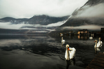 Hallstatt, Alpy, Austria © Monika Lesner-Mączyń