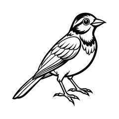 Small bird black and white vector art illustration ideal for coloring