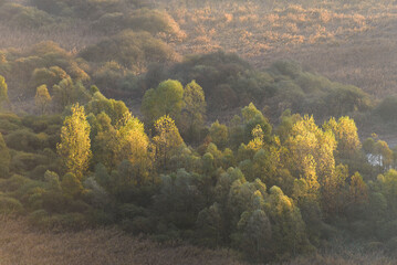 top view of the Adda river during an autumnal morning, Lecco province, Italy