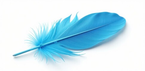 Single, soft blue feather against white backdrop, calm, spring