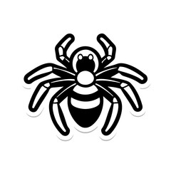 spider on a white background