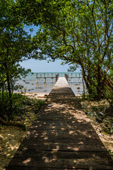 wooden bridge from the mangrove forest to the pier by the sea. wooden bridge to the pier.