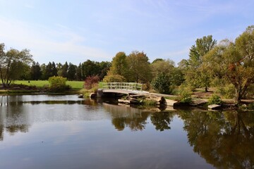 Fototapeta premium The old wood footbridge in the park on a sunny day.