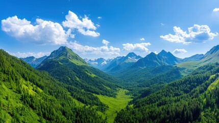 Carbon Forest Preservation Concept, Conservation of Mountain Forests to Protect Critical Ecosystems and Biodiversity in Natural Landscapes