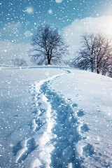 Obraz premium Snow-Covered Hill with Footprints Leading to a Recent Slip in a Peaceful Winter Scene
