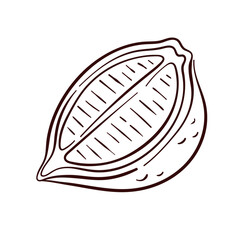 Half of lemon in line art style. Vitamin ingredient design for fruit store, package and cafe menu isolated on a white background.