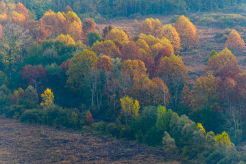 top view of the Adda river during an autumnal morning, Lecco province, Italy