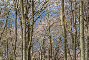 autumnal nature sceneries inside the Piani dei Resinelli, Lecco, Italy 