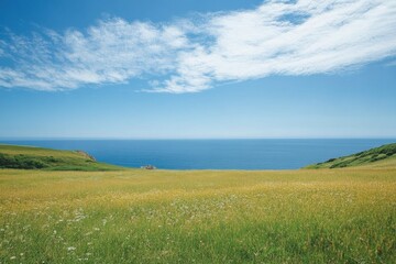 Obraz premium Vibrant green meadow overlooking serene blue ocean under a clear sky at midday