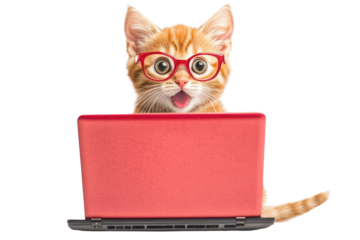 Curious kitten with glasses engages with a red laptop during a fun indoor moment, cut out 