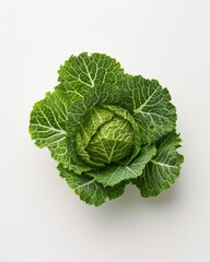 Obraz premium Fresh chinese cabbage on a clean white background, perfect for culinary and nutritional displays
