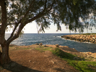 Coastal area in Cyprus near Coral Bay.