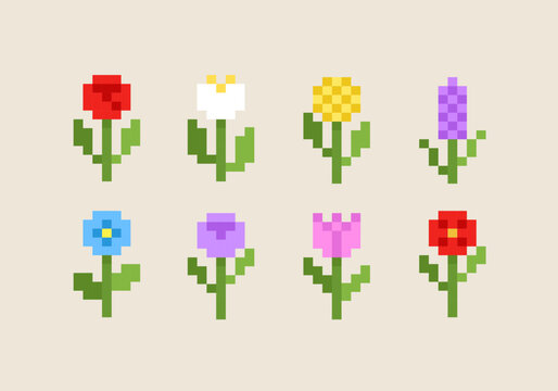Pixel art flowers collection in 90s gaming 8 bit icons of poppy, lavender, rose, yarrow, knapweed, flowers. Editable vector set of pixel filed and wild flowers 