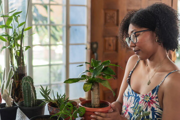 Young woman holding a potted plant, gardening at home