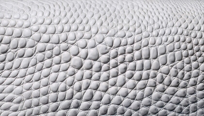 white reptile skin background