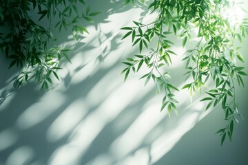 Obraz premium Sunlit Green Leaves and Shadows