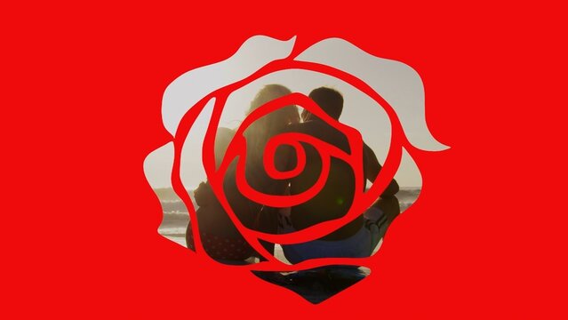 Romantic Valentine Red Rose Transition