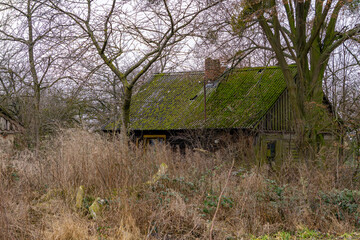old abandoned wooden hut with a wooden roof covered with green moss standing in the middle of...